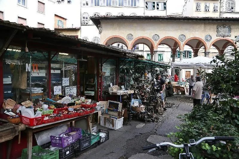 Jasmine House Apartment Florence